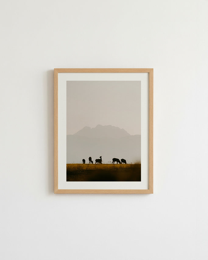 Biches et Pedraforca - Tirage d'Art