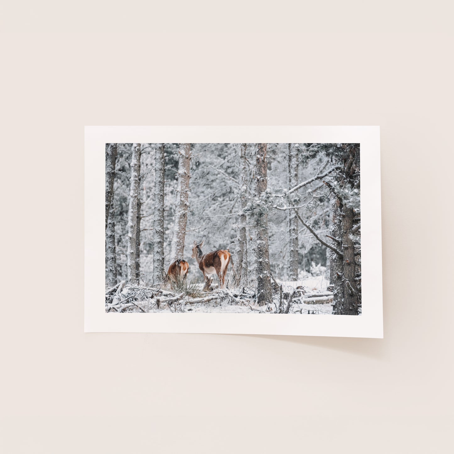 Biches sous la neige - Tirage d'Art