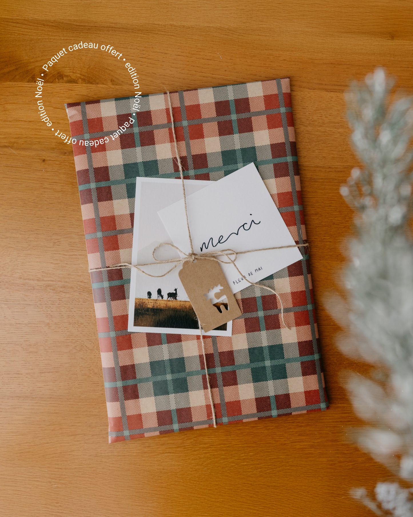 Calendrier 2026 – Faune d’Occitanie