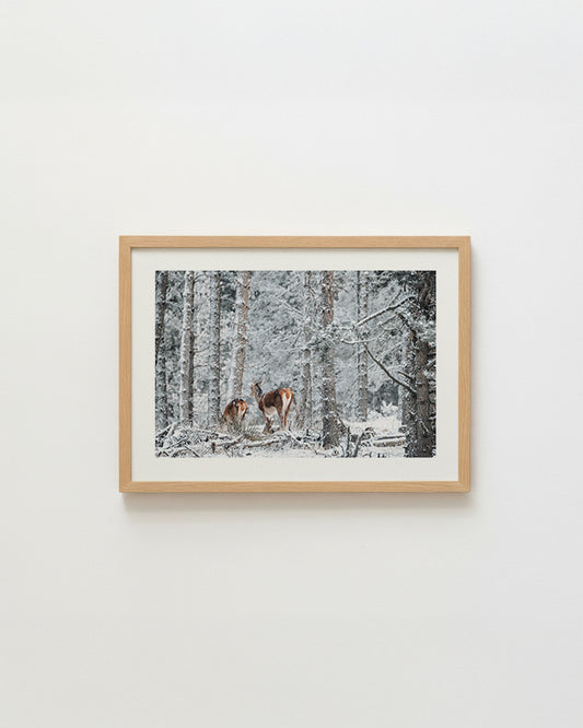 Biches sous la neige - Tirage d'Art
