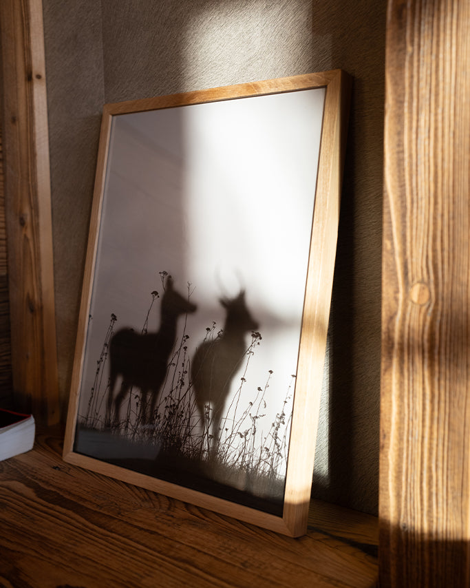 Cervidés au couchant - Tirage d'Art