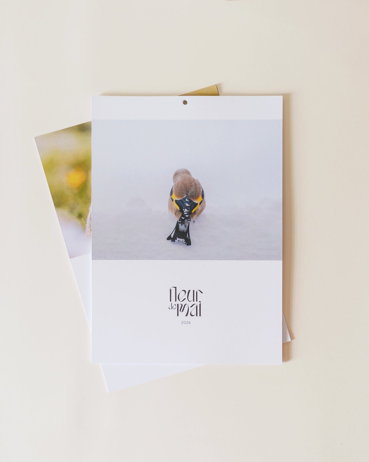 Calendrier 2026 – Faune d’Occitanie