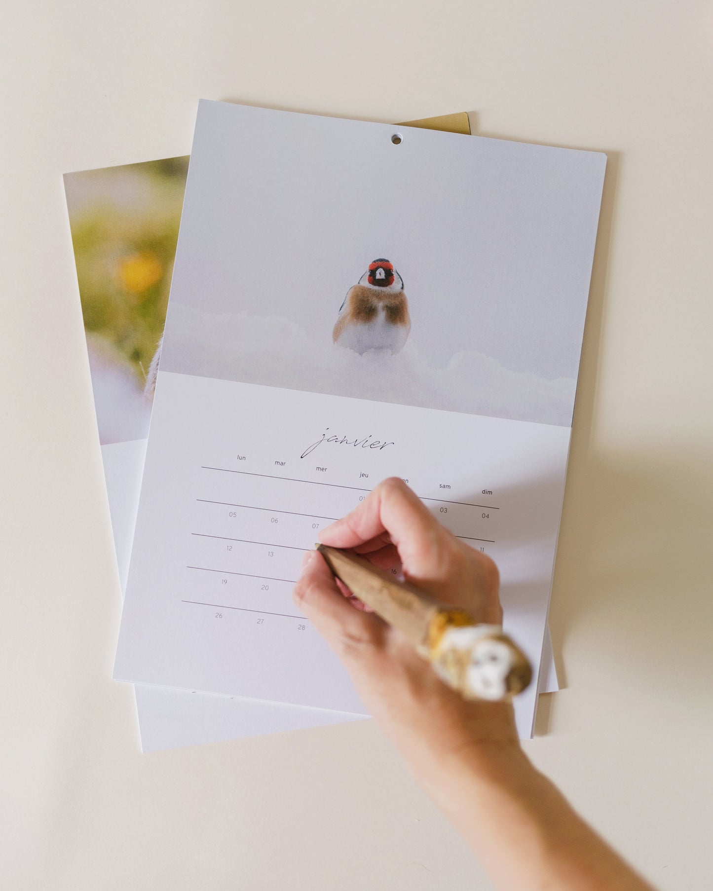 Calendrier 2026 – Faune d’Occitanie