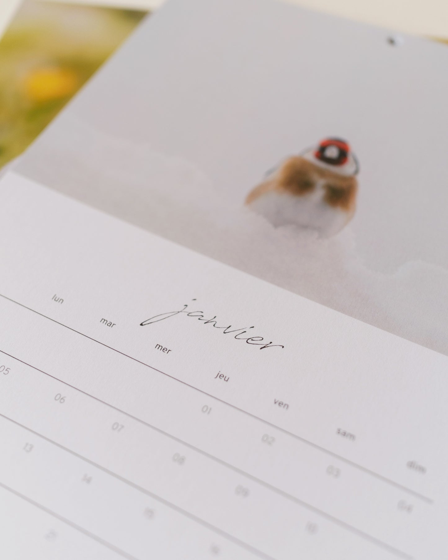 Calendrier 2026 – Faune d’Occitanie