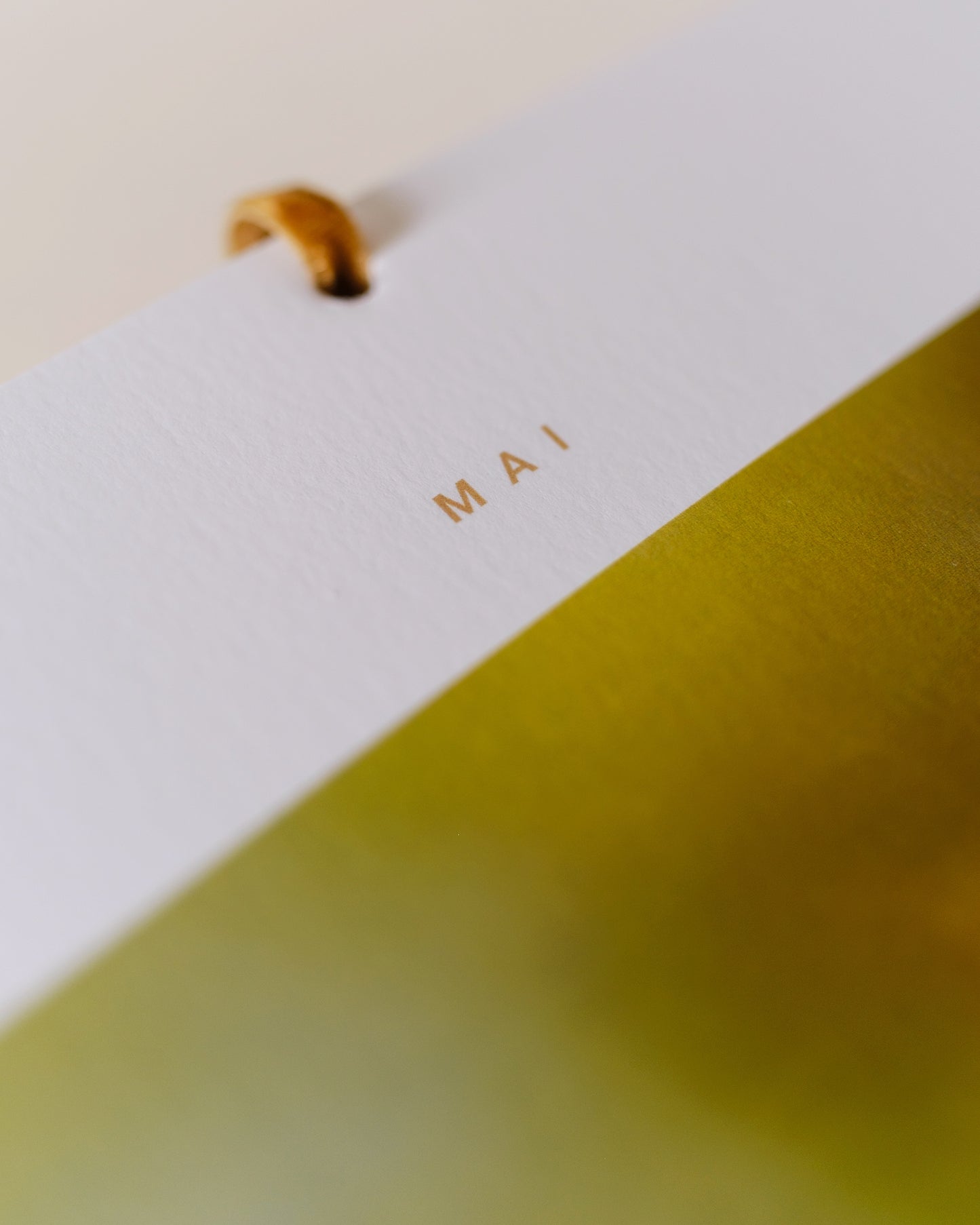 Calendrier 2026 – Faune d’Occitanie (édition premium)