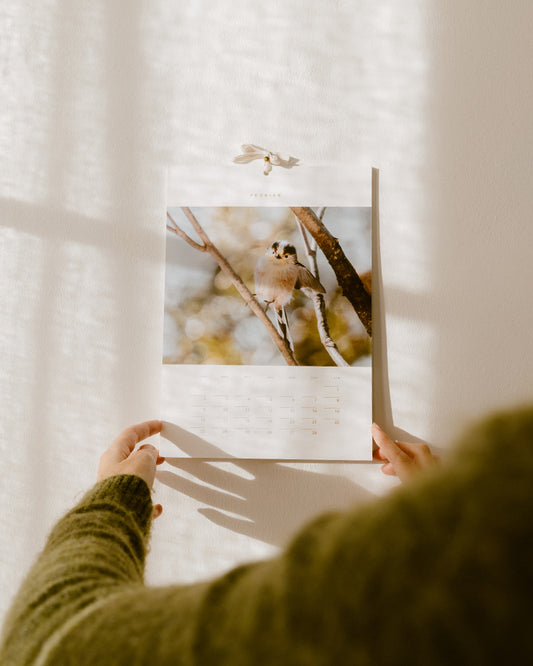 Calendrier 2026 – Faune d’Occitanie (édition premium)