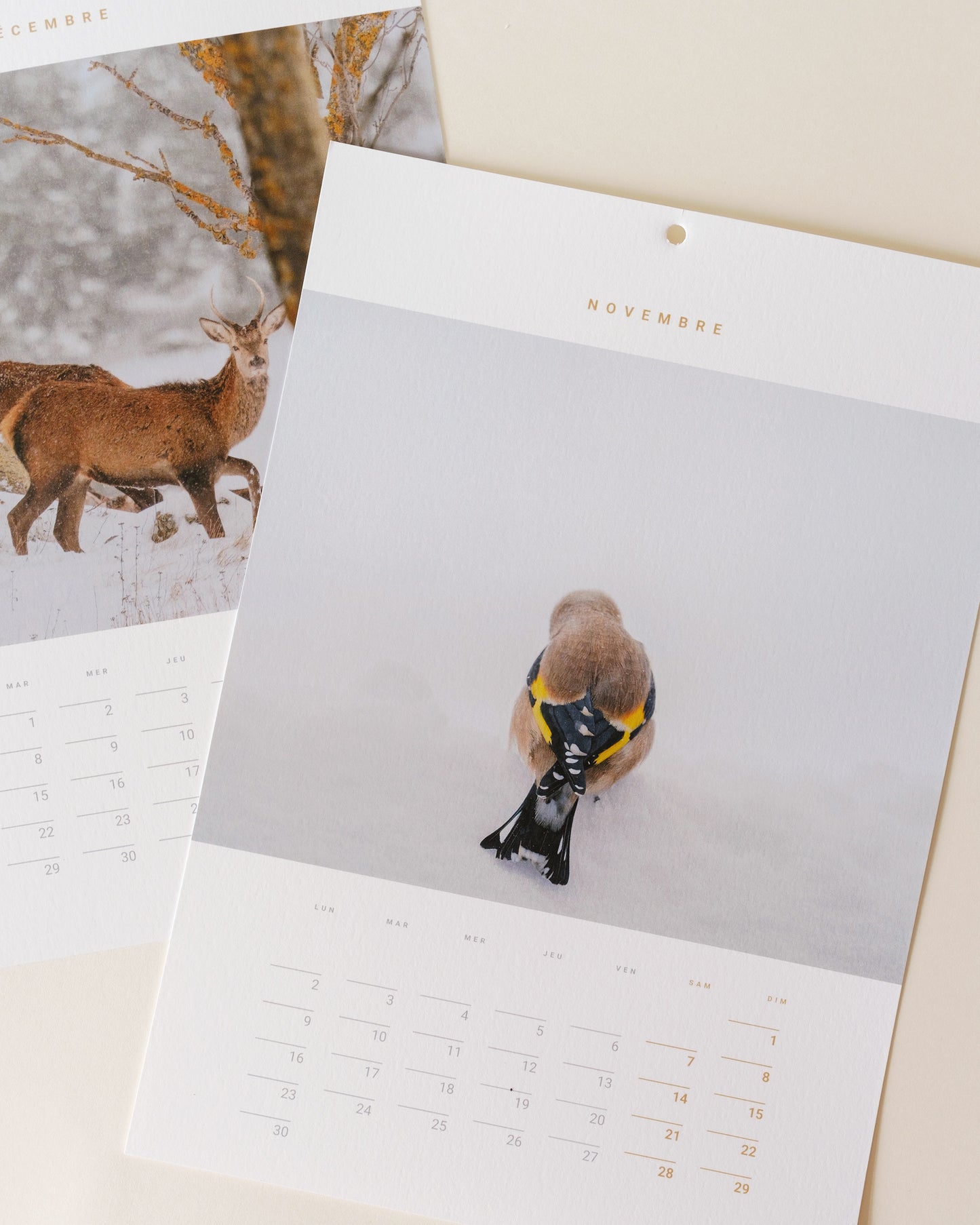 Calendrier 2026 – Faune d’Occitanie (édition premium)