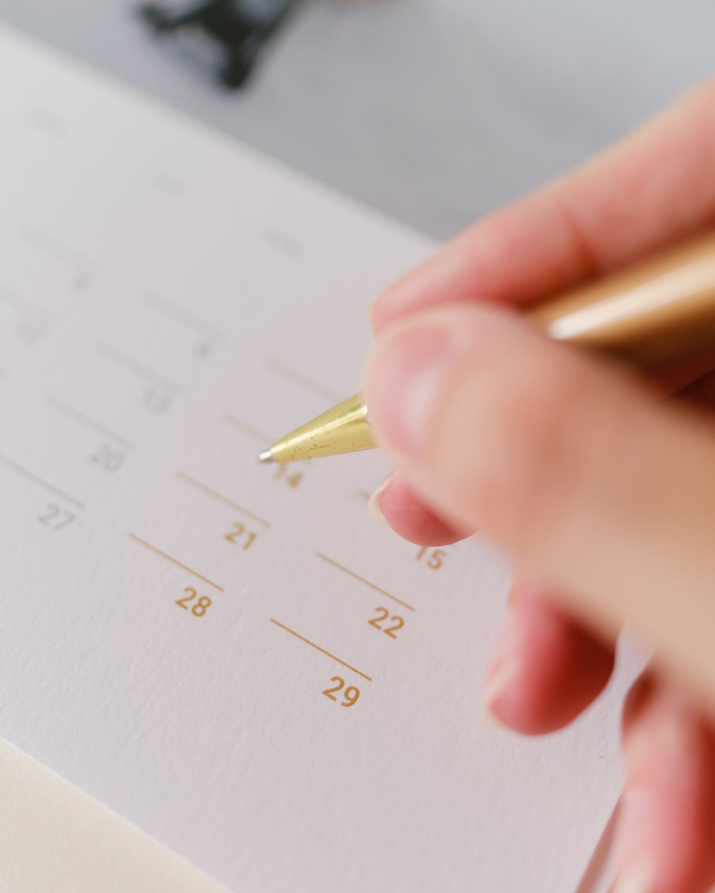 Calendrier 2026 – Faune d’Occitanie (édition premium)