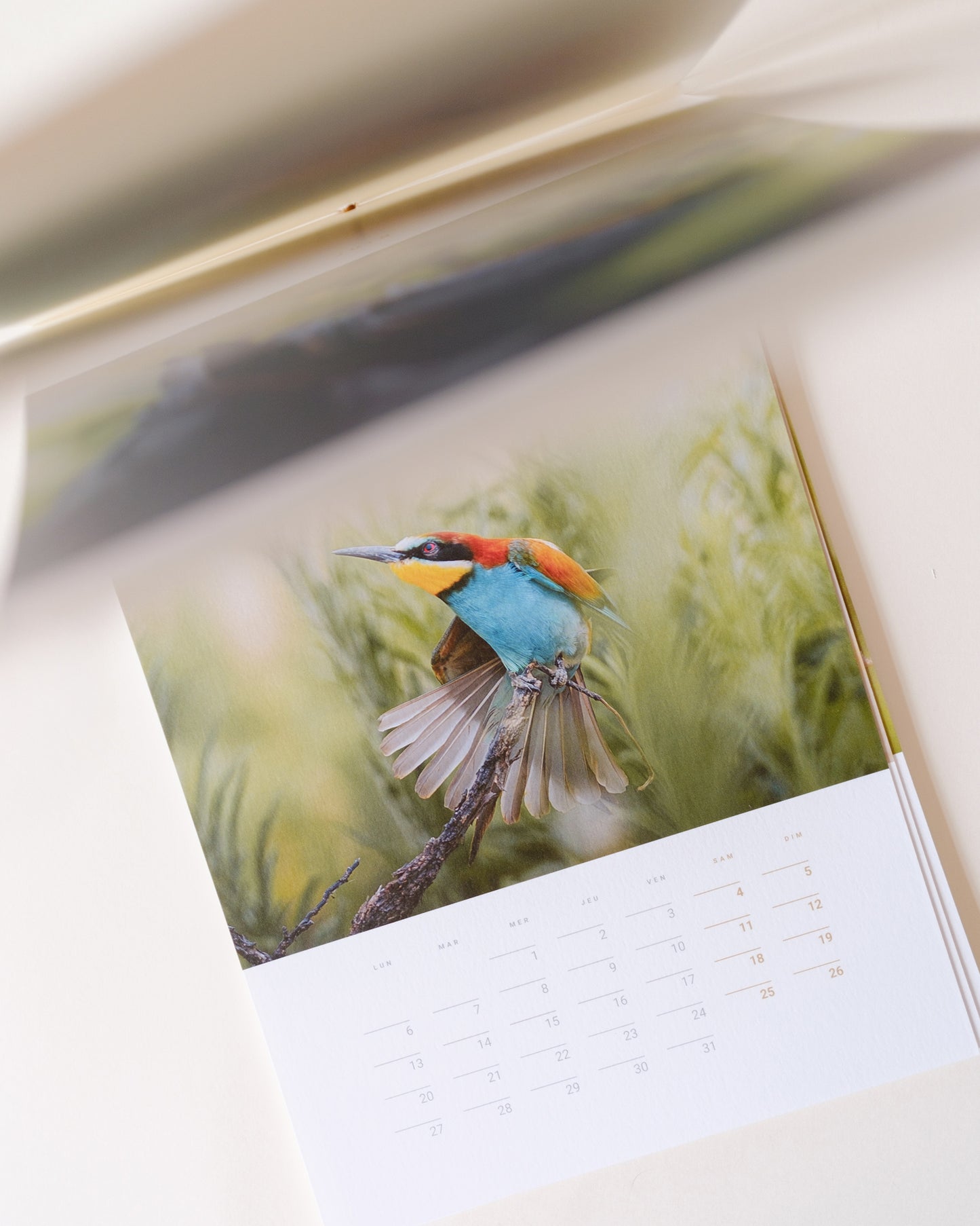 Calendrier 2026 – Faune d’Occitanie (édition premium)