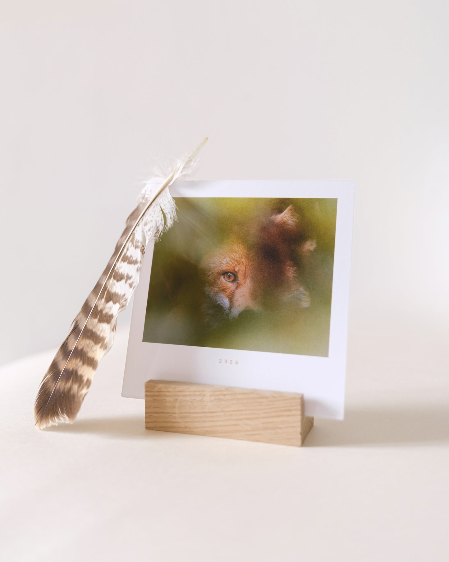 Calendrier 2026 – Faune d’Occitanie (support bois)