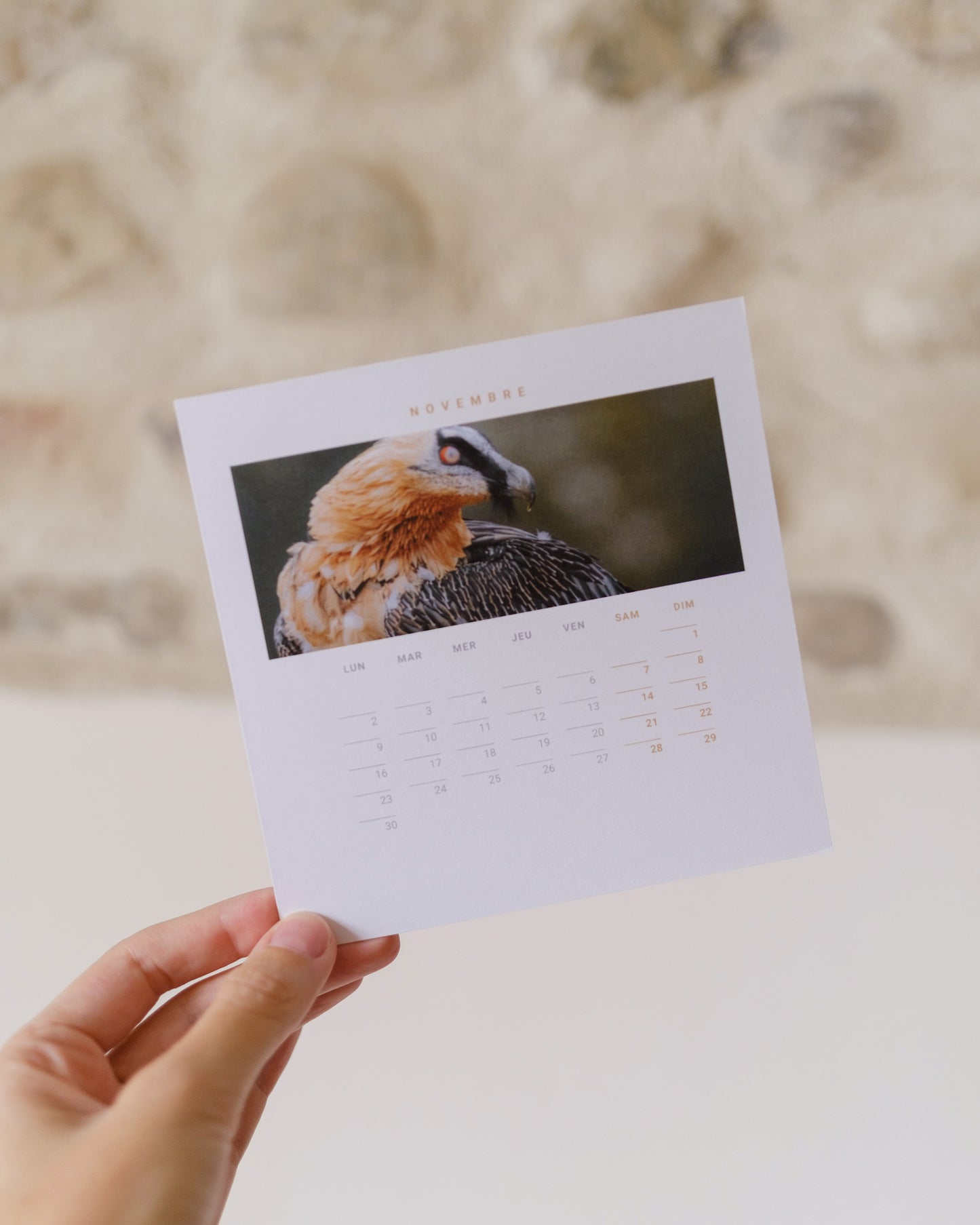 Calendrier 2026 – Faune d’Occitanie (support bois)