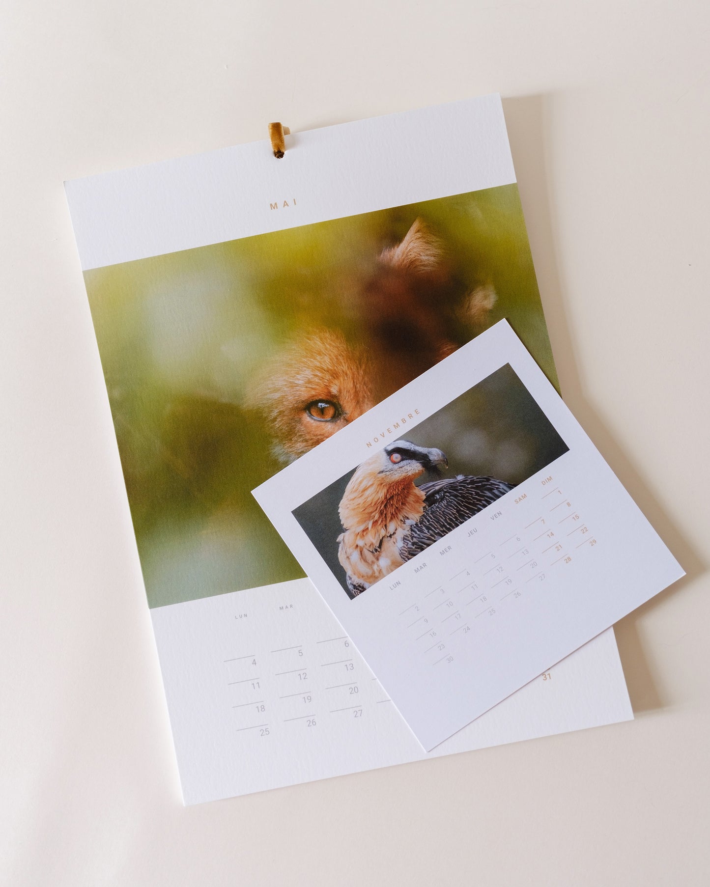 Calendrier 2026 – Faune d’Occitanie (support bois)