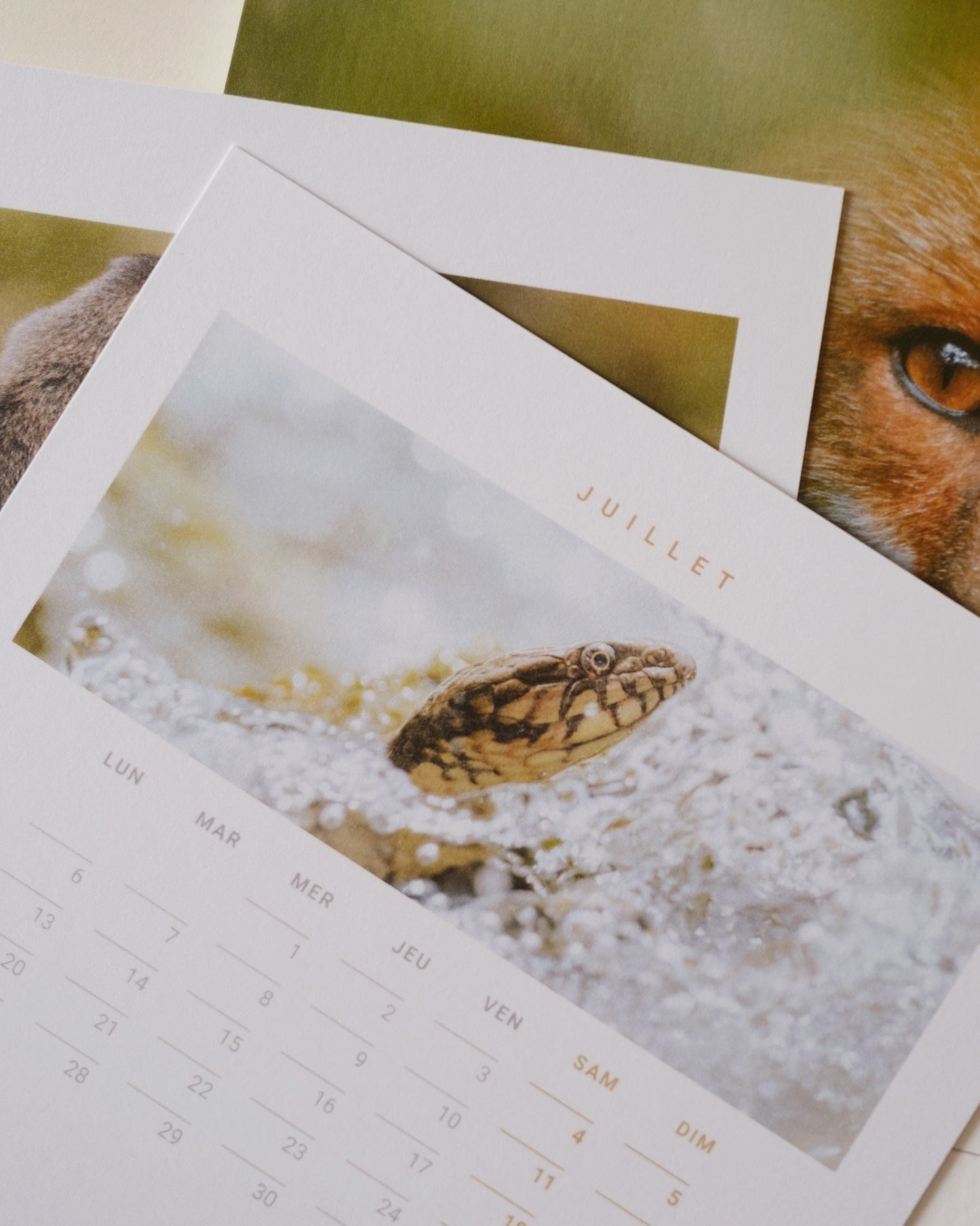 Calendrier 2026 – Faune d’Occitanie (support bois)