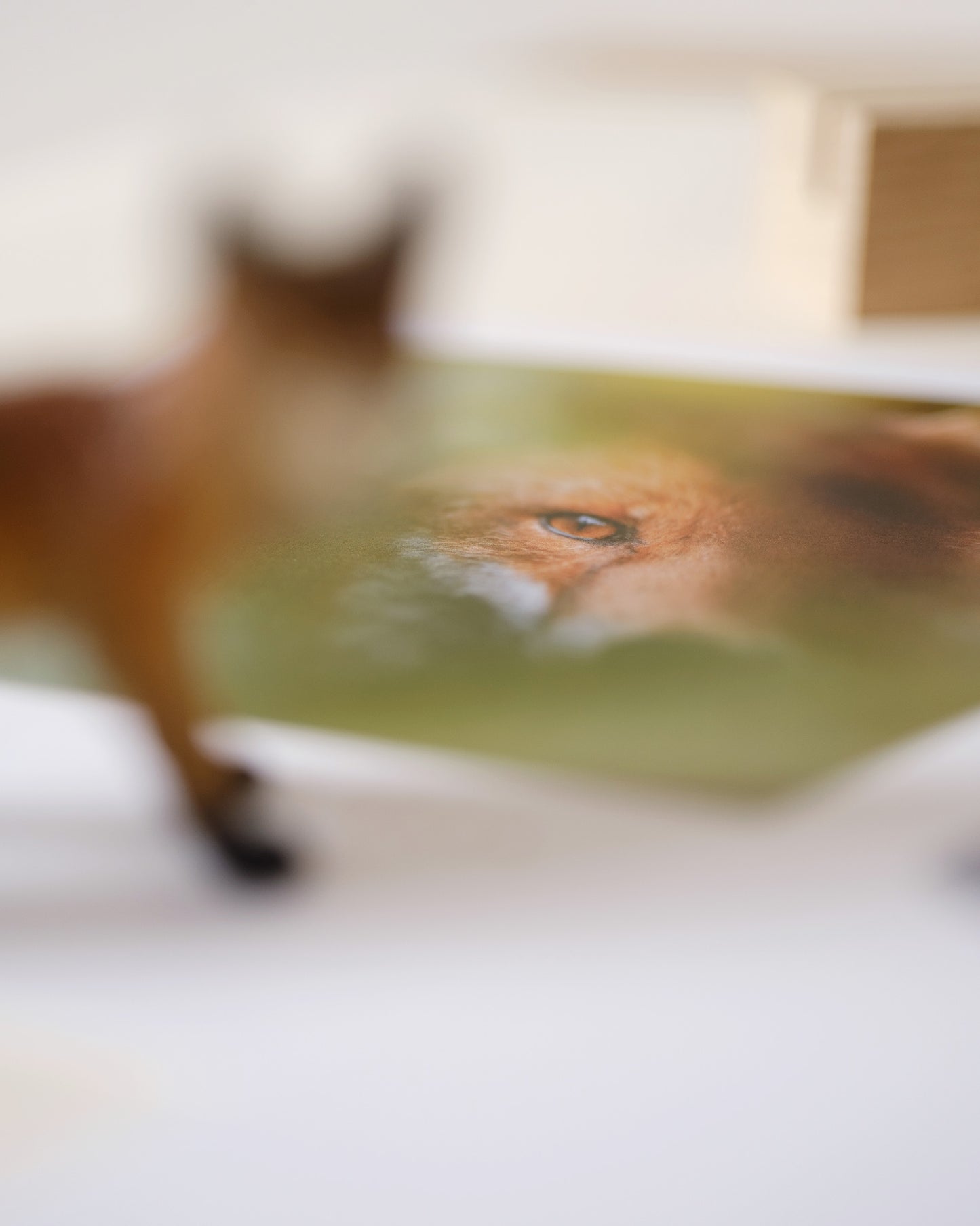 Calendrier 2026 – Faune d’Occitanie (support bois)