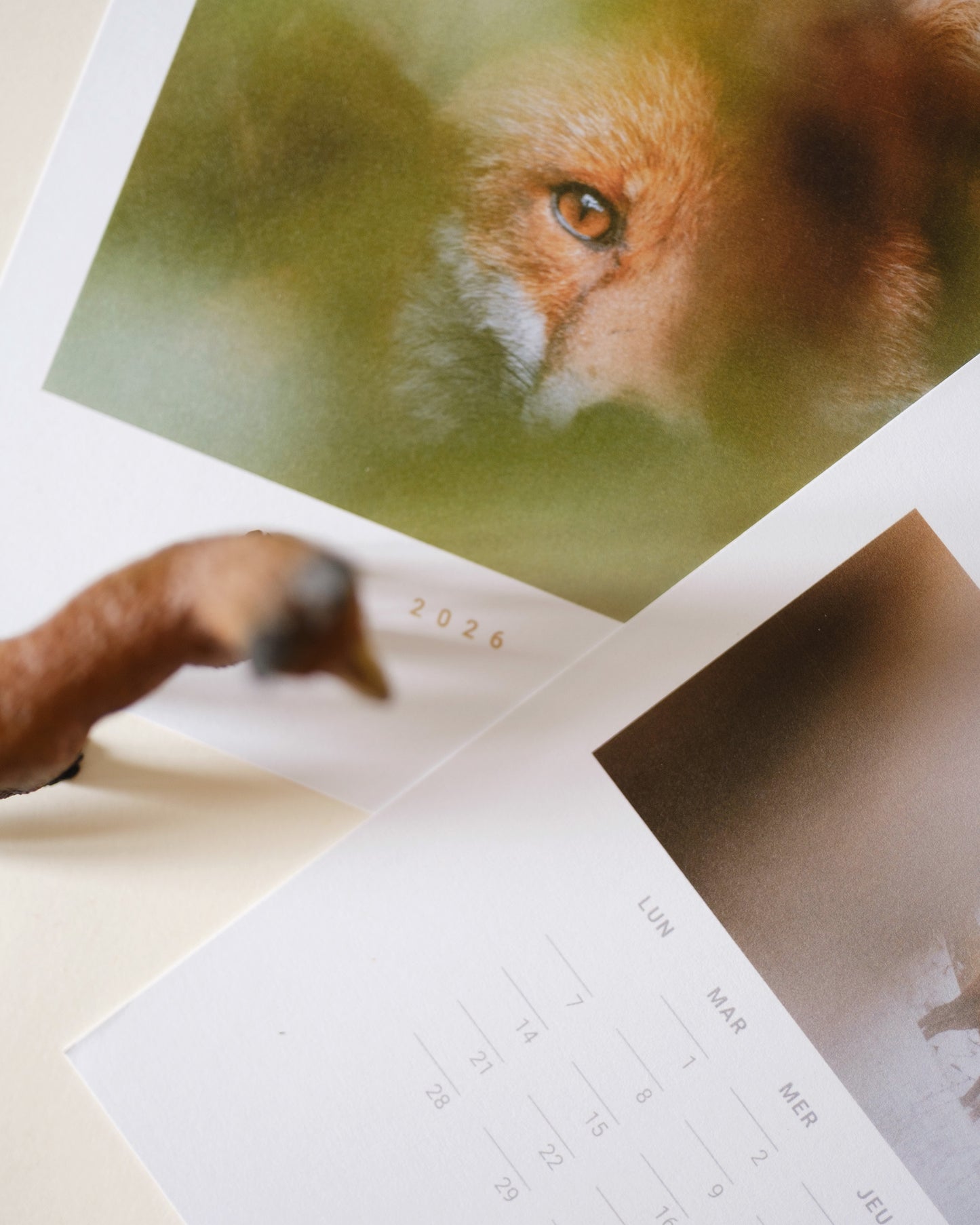 Calendrier 2026 – Faune d’Occitanie (support bois)