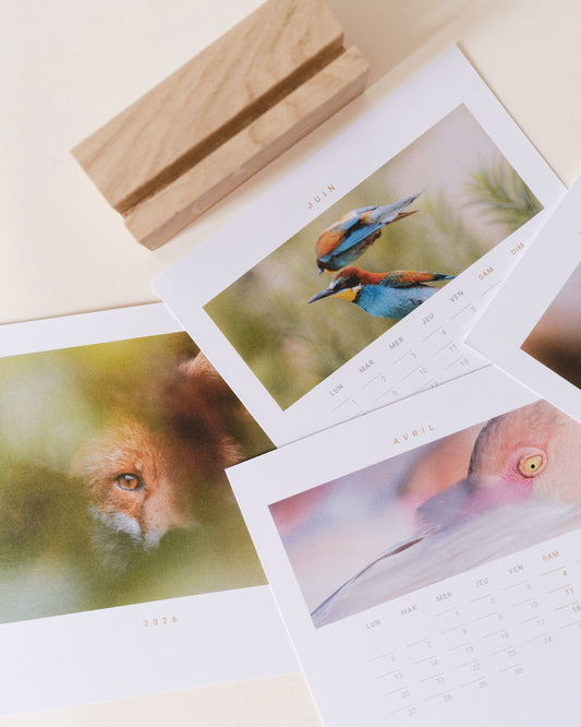 Calendrier 2026 – Faune d’Occitanie (support bois)