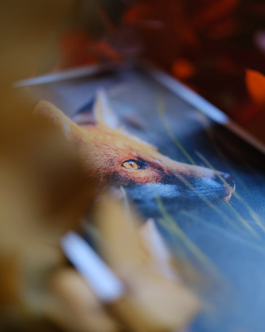 Cartes - Kit "fleur de mai"