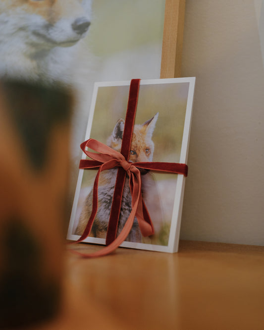 Cartes - Kit "fleur de mai"