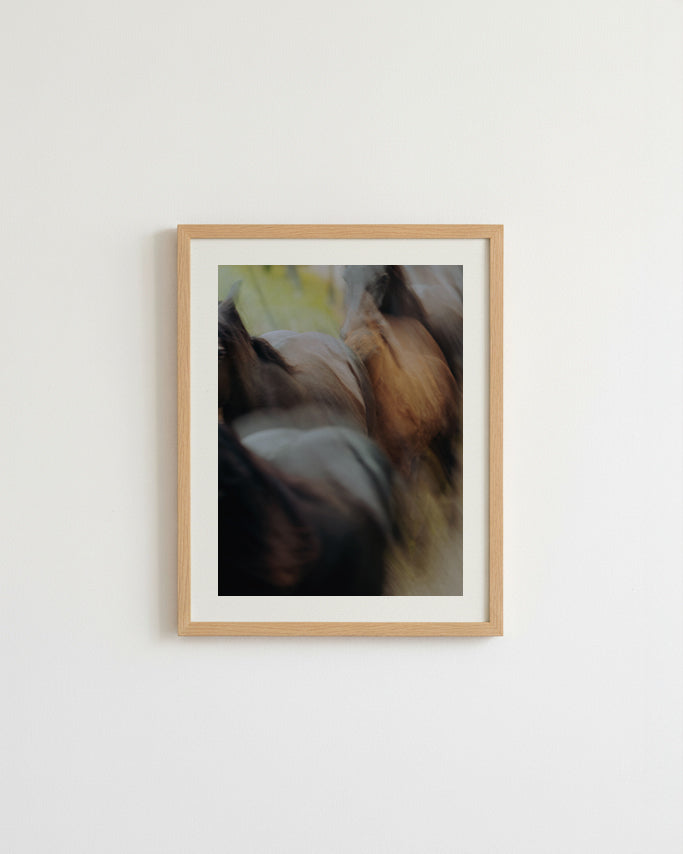 Transhumance en Bethmale - Tirage d'Art