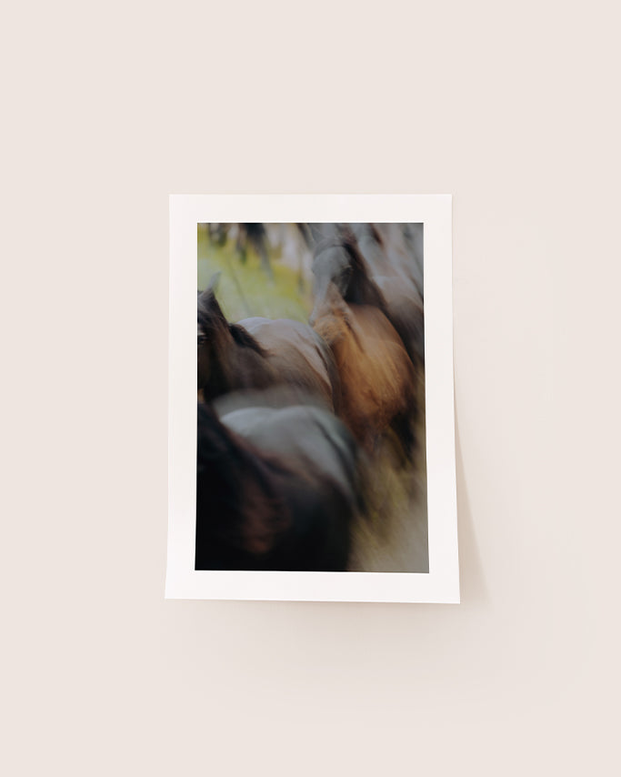 Transhumance en Bethmale - Tirage d'Art