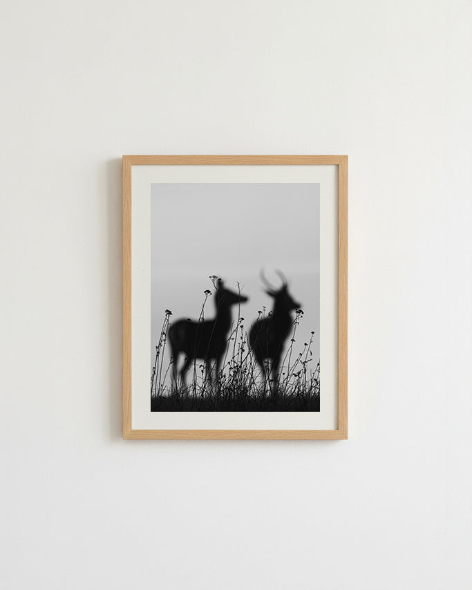 Cervidés au couchant - Tirage d'Art