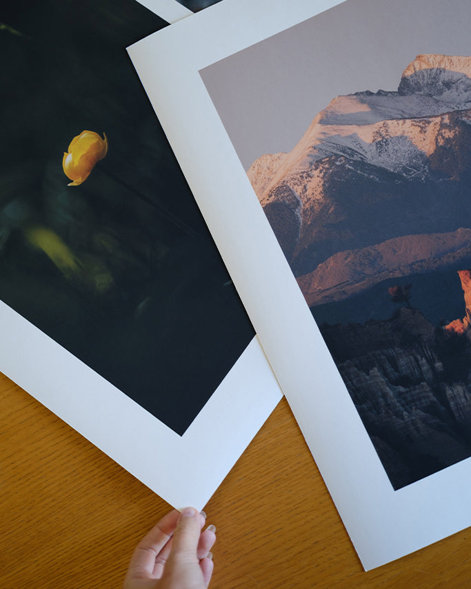 Orgues et Canigo - Tirage d'Art